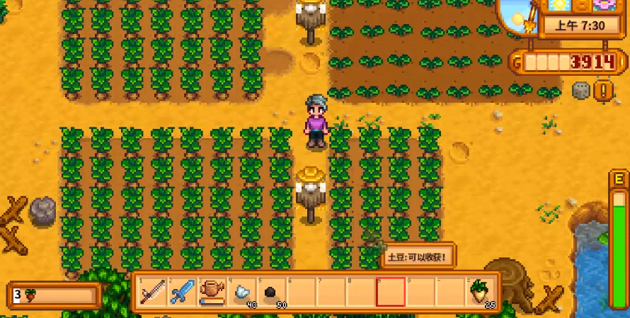 星露谷物语种植什么最划算