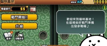 猫咪作战