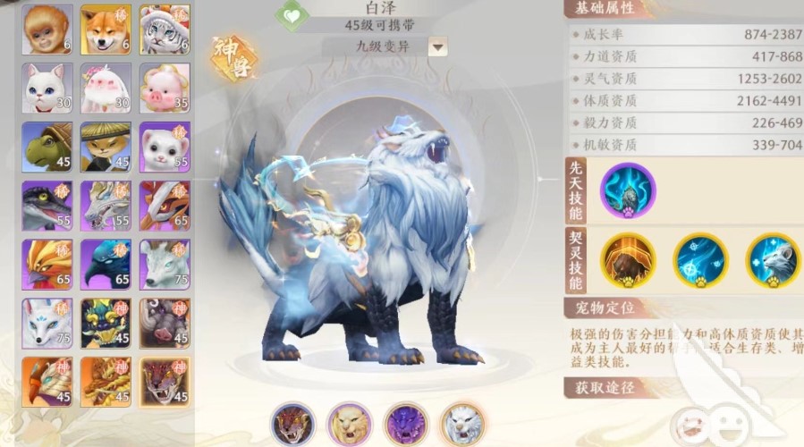 天龙八部2怎么培养神兽