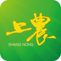 上农