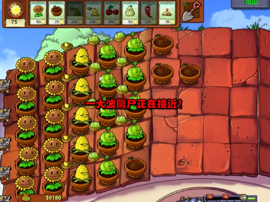 植物大战僵尸第五章第四关怎么过