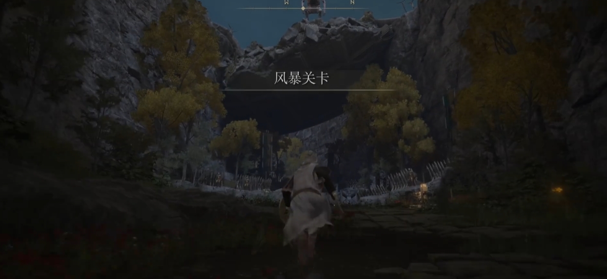 艾尔登法环金币有什么用