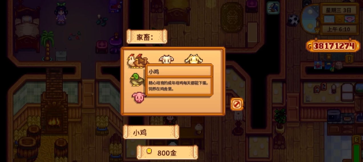 星露谷物语养鸡喂什么