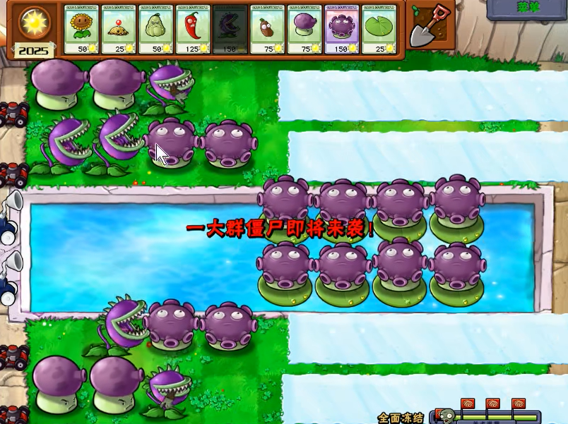 植物大战僵尸全面冻结怎么过