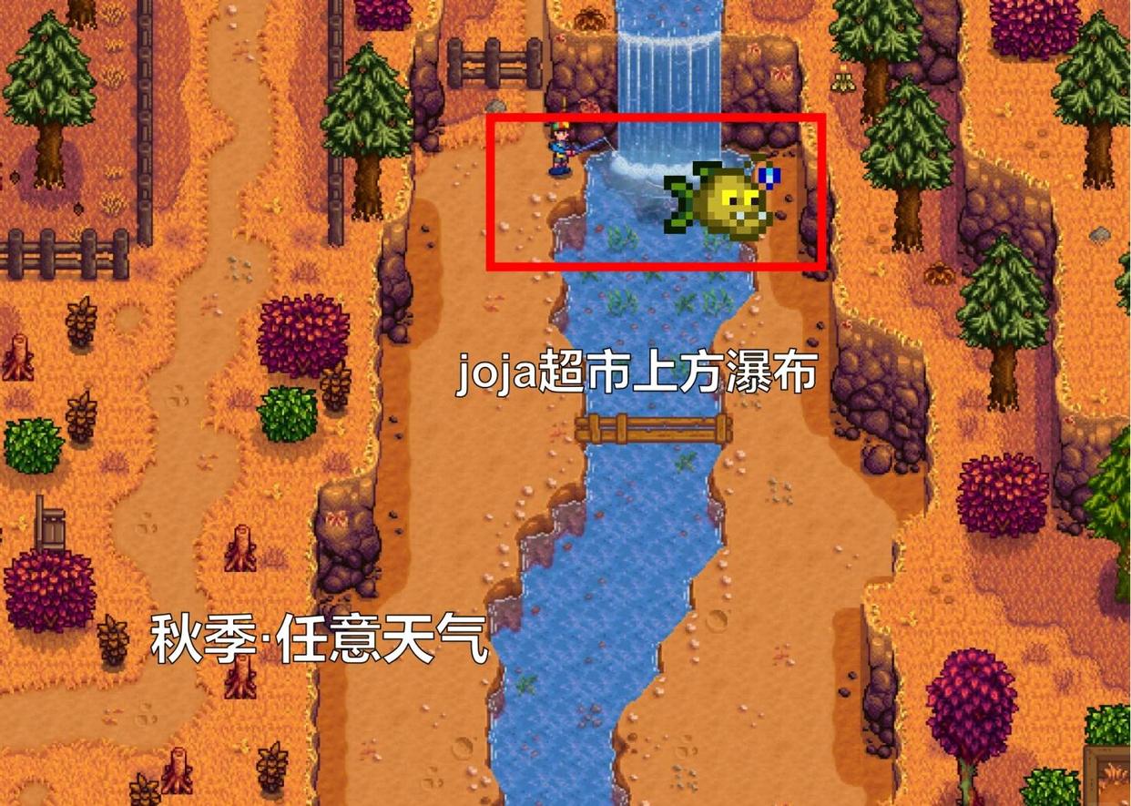 星露谷物语如何养鱼王