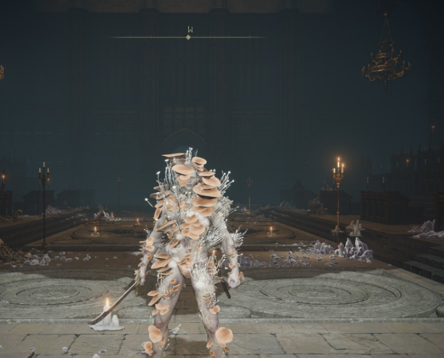 艾尔登法环前期套装怎么获得