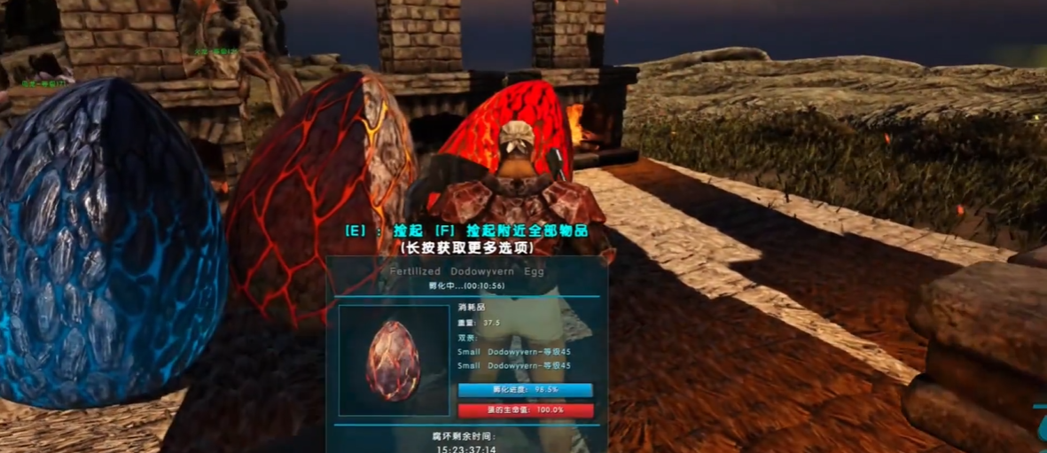 方舟生存进化仙境龙蛋怎么孵化