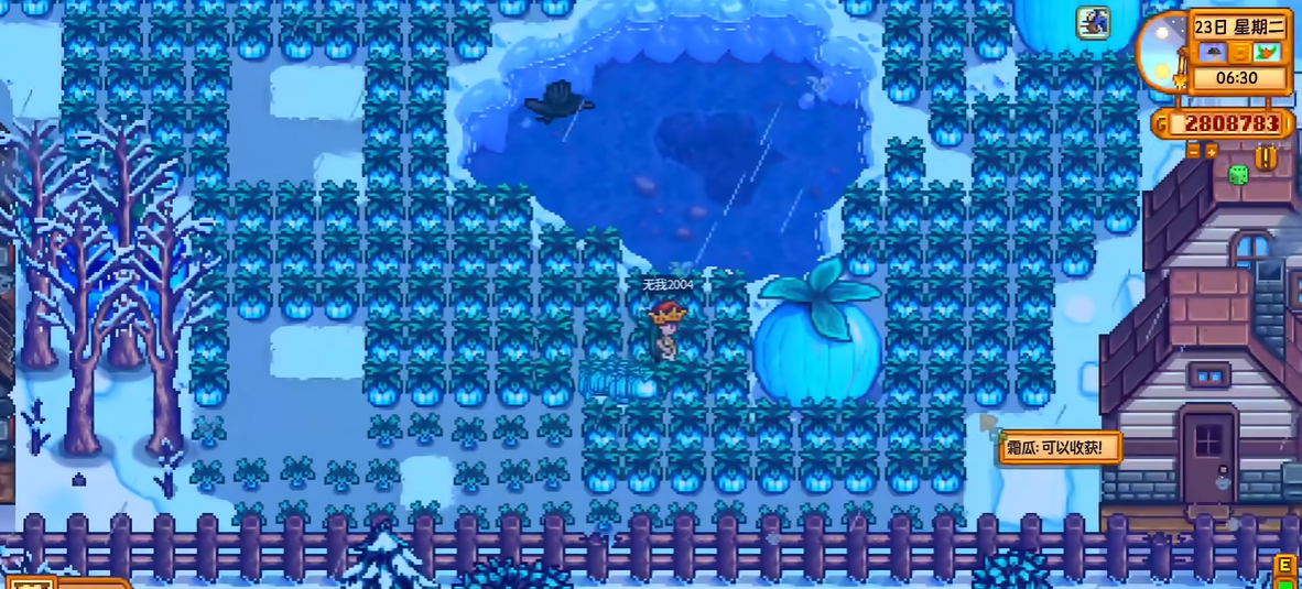 星露谷物语巨型农作物怎么收