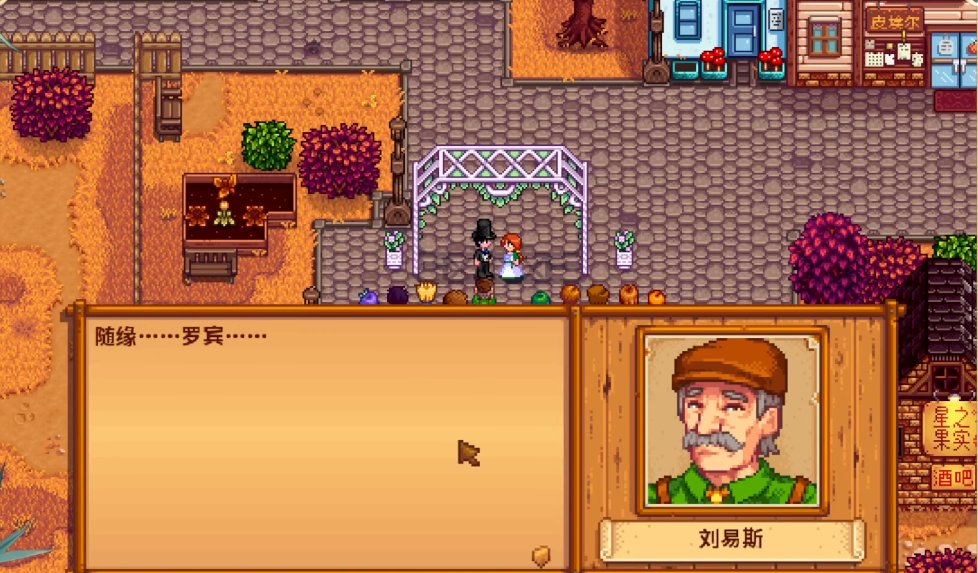 星露谷物语怎么娶罗宾