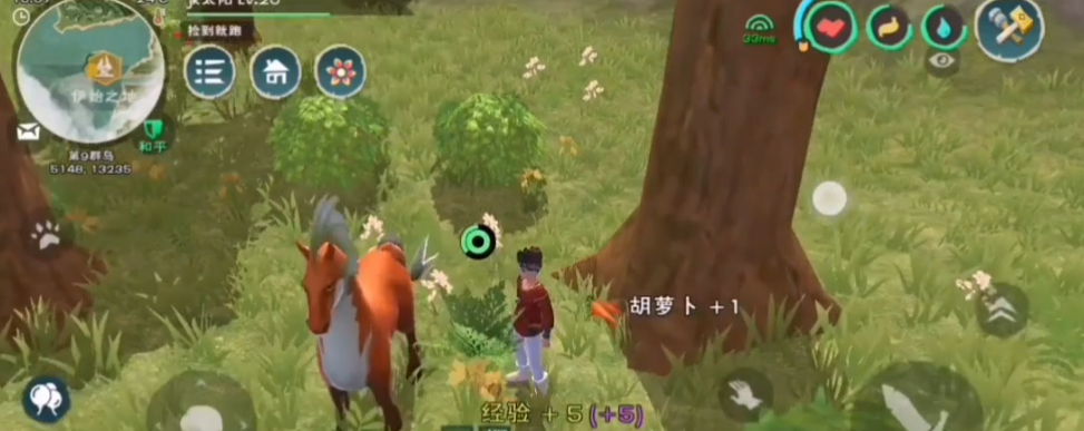 创造与魔法马怎么骑