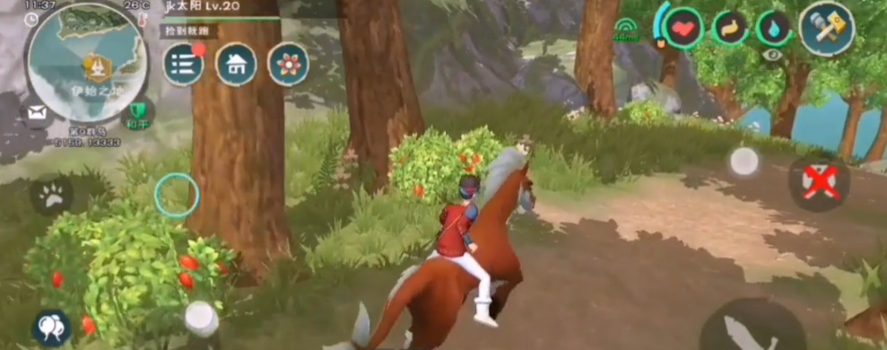 创造与魔法马怎么骑