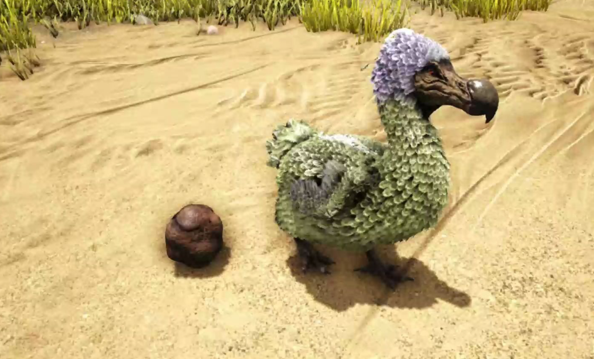 方舟生存进化新手抓什么龙