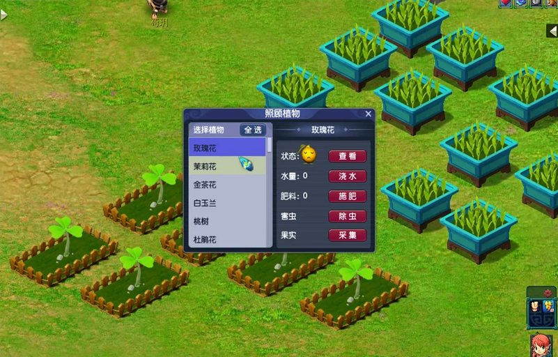 梦幻西游花草种植需要什么 梦幻西游花草种植需要什么