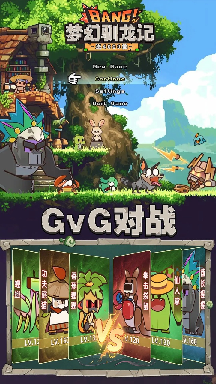 梦幻驯龙记