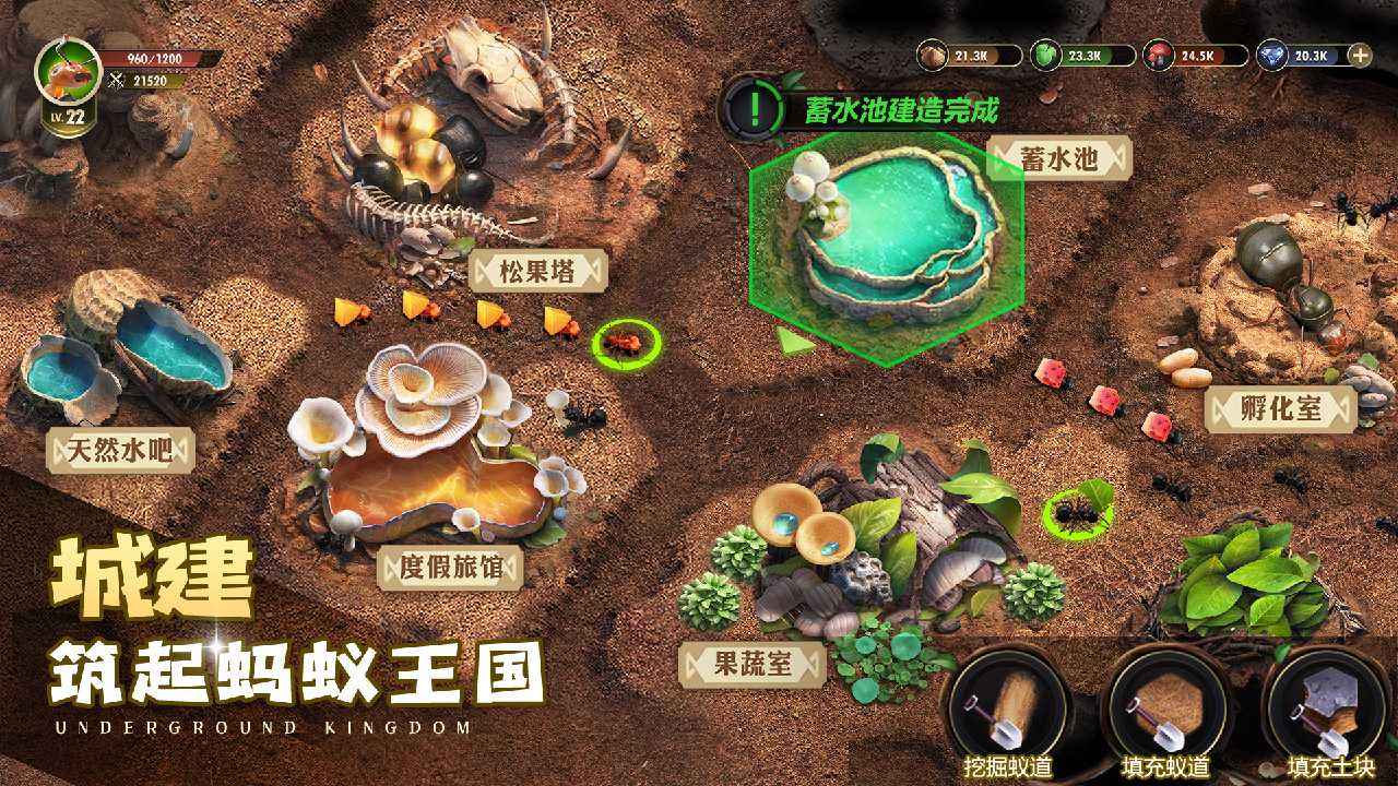 小小蚁国