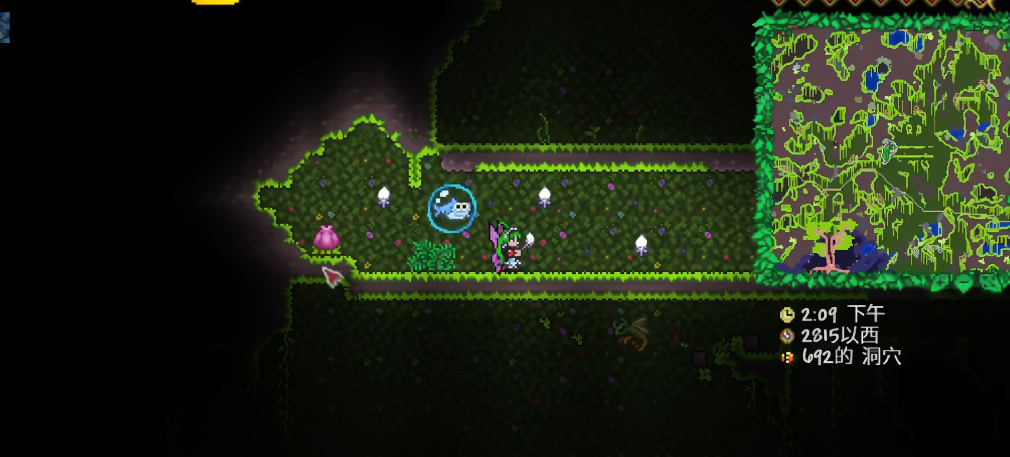 泰拉瑞亚世纪之花怎么找