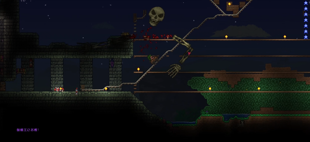 泰拉瑞亚骷髅王专家怎么打