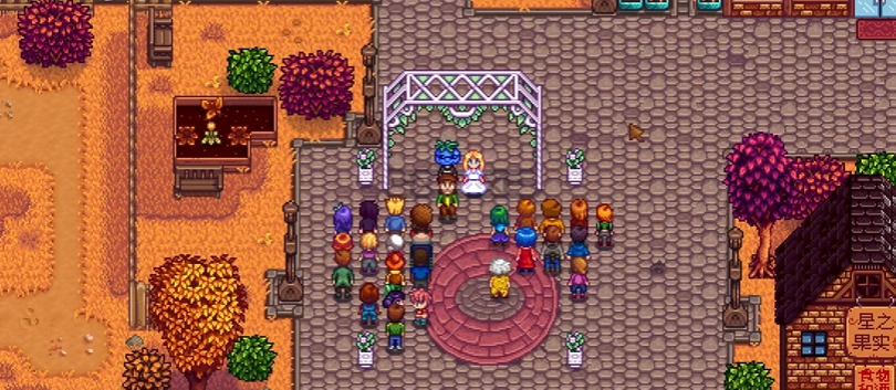 星露谷物语结婚后怎么对话