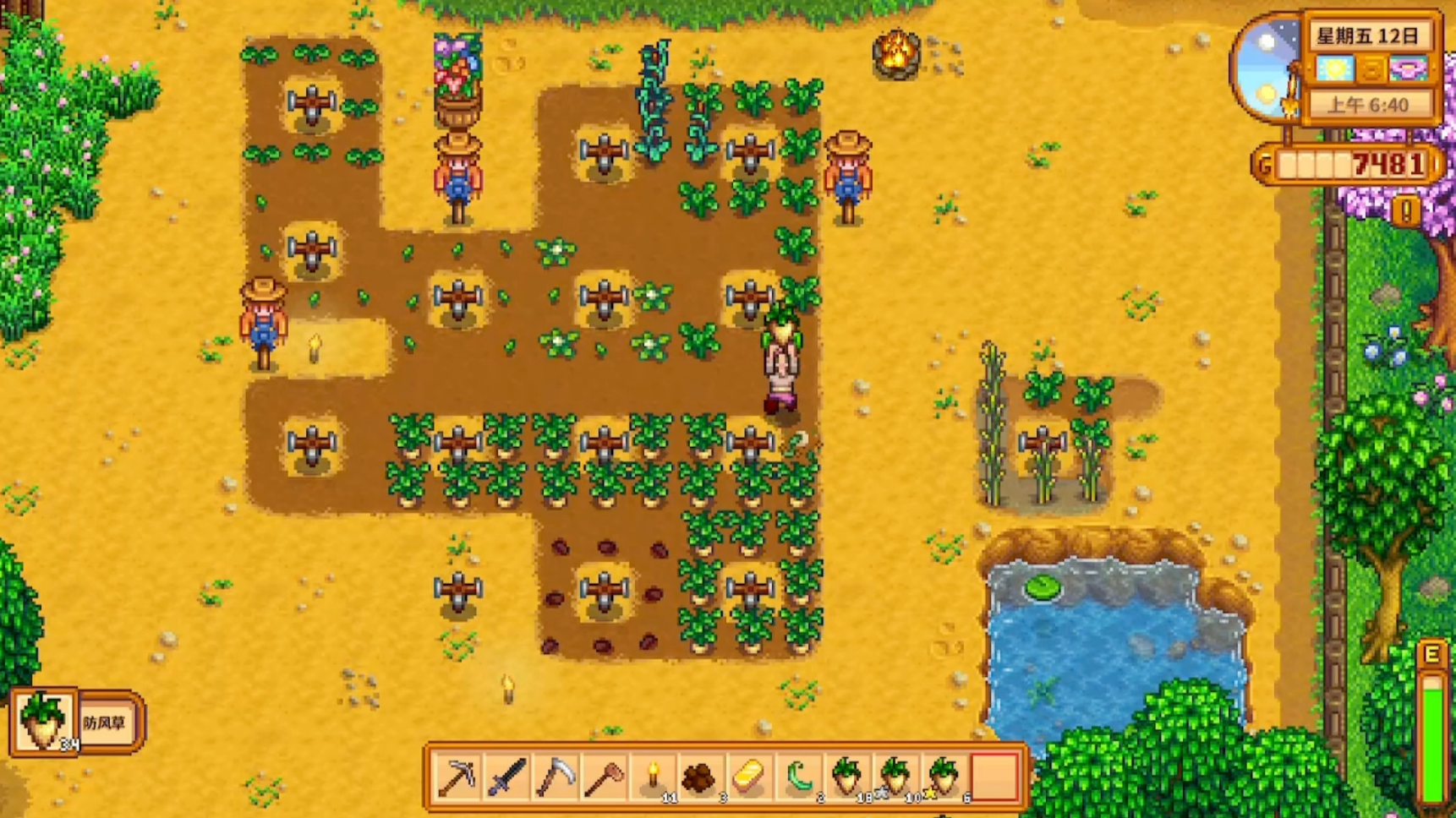 星露谷物语第一年春天种什么