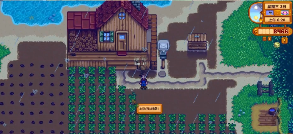 星露谷物语第一年春天种什么