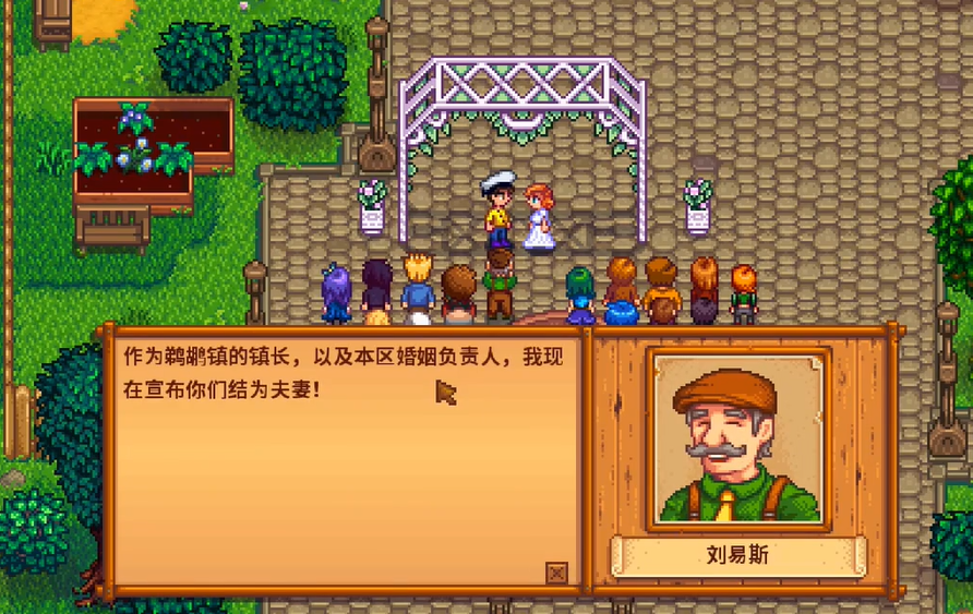 星露谷物语怎么跟潘妮结婚