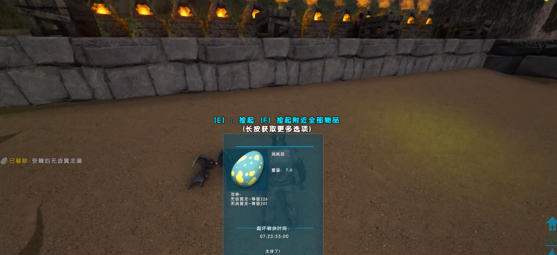 方舟生存进化捡的龙蛋怎么孵化