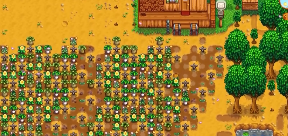 星露谷物语茶苗怎么赚钱