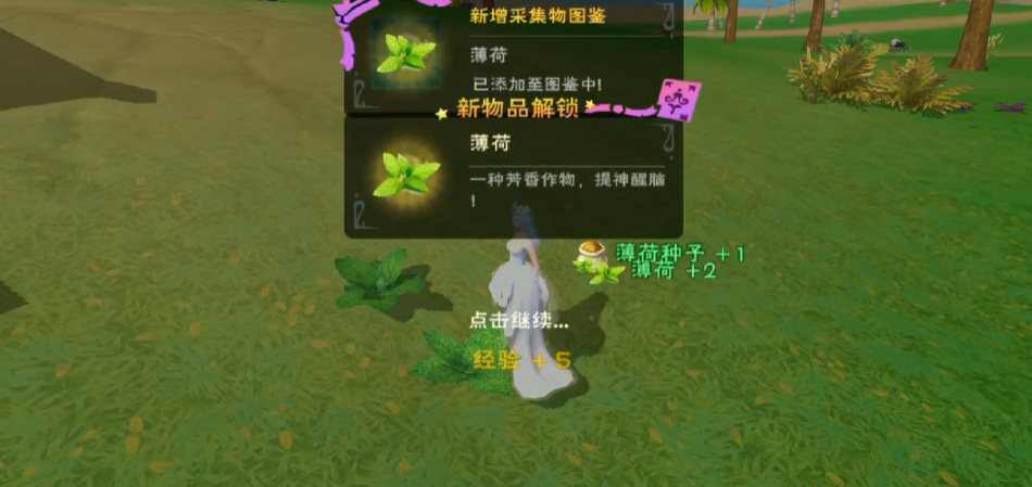 创造与魔法薄荷位置在哪