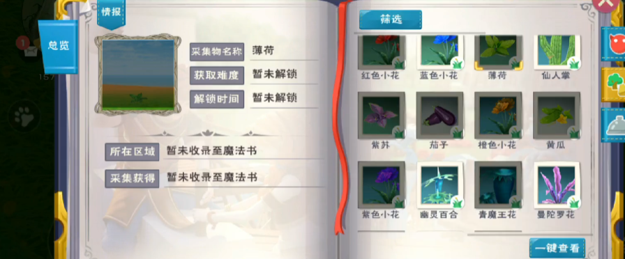 创造与魔法薄荷位置在哪