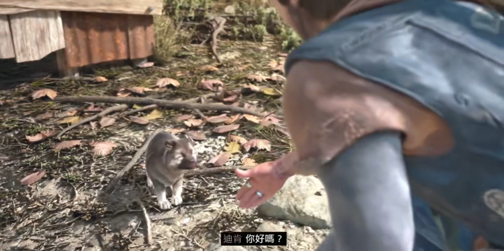 往日不再怎么抓捕小狗