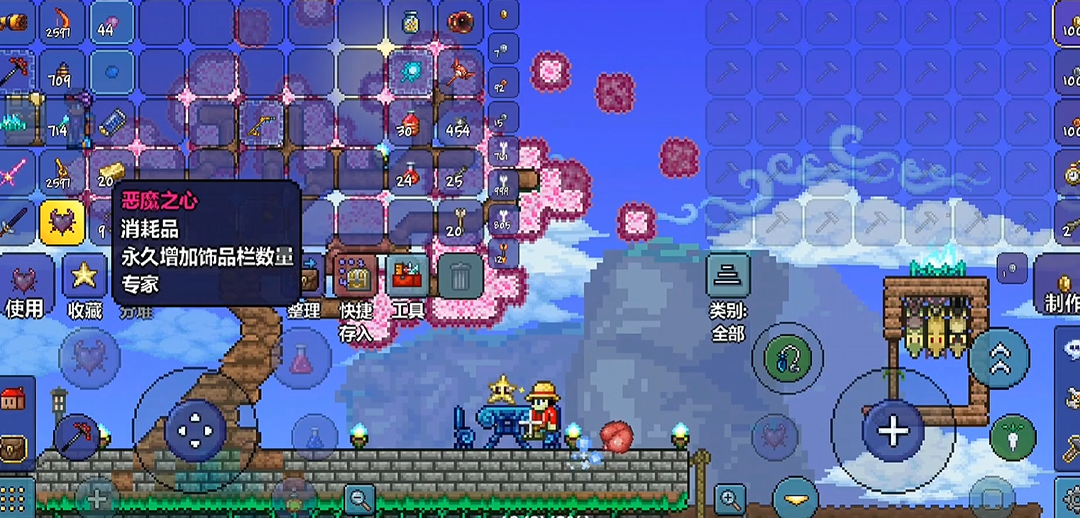 泰拉瑞亚怎么装备饰品