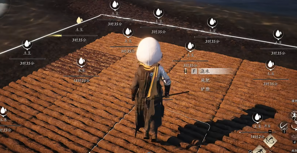 燕云十六声肥料在哪里买