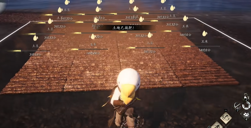 燕云十六声肥料在哪里买