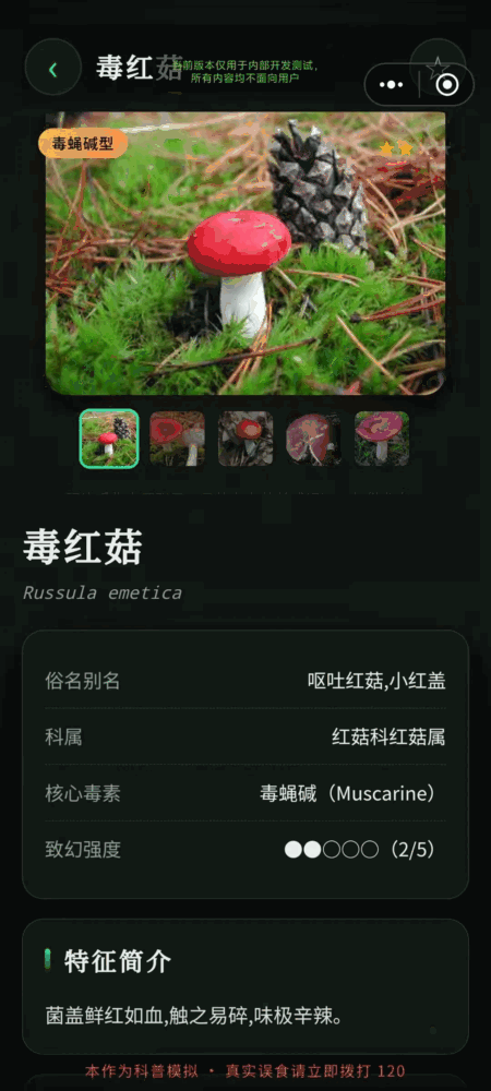毒蘑菇幻觉模拟器