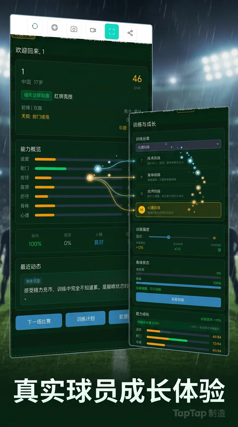 足球模拟人生