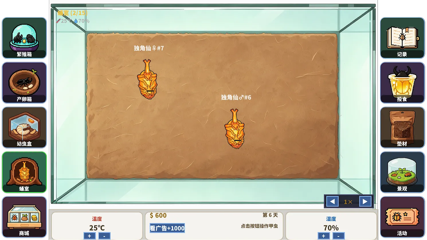 甲虫养殖大师
