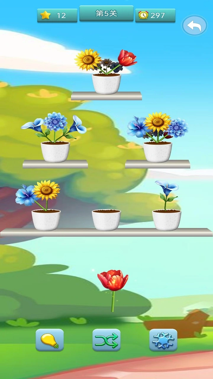 小丽花