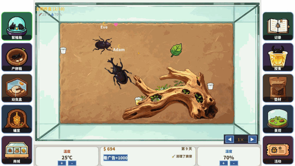 甲虫养殖大师