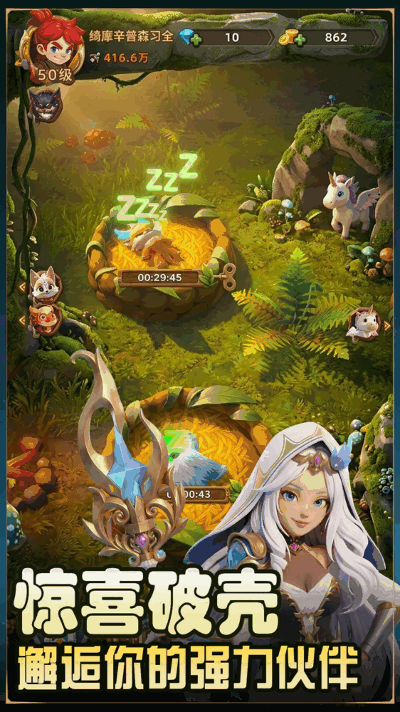 灵兽派特