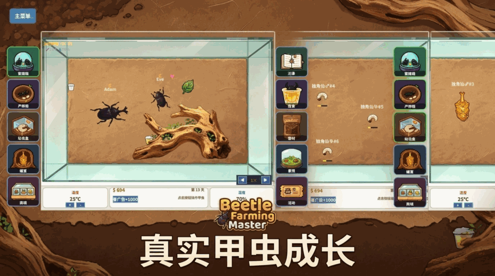 甲虫养殖大师